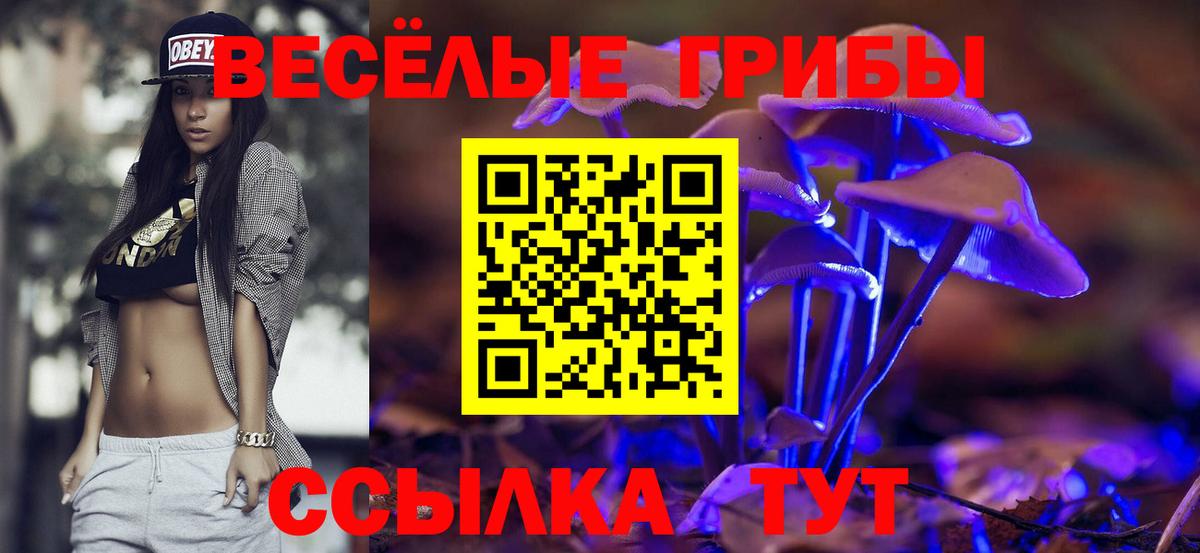 Псилоцибиновые грибы Psilocybe  Галлюциногенные грибы мицелий  Вход с VPN  Сергиев Посад 