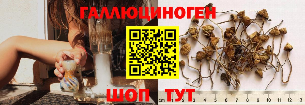 Псилоцибиновые грибы мухоморы Сергиев Посад